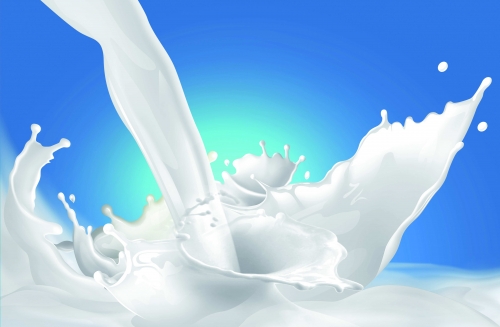 Correct-Way-to-Proccess-Milk