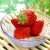 Dưỡng móng đơn giản từ thiên nhiên